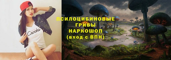 тгк Абаза