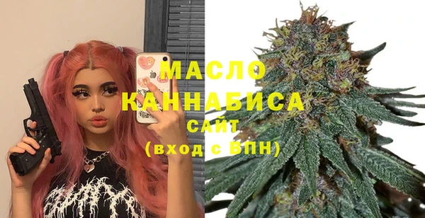 тгк Абаза