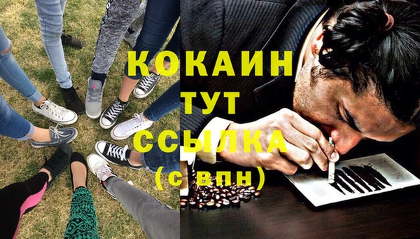 ALPHA-PVP Медвежьегорск