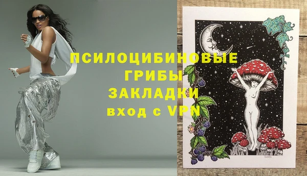 твердый Абинск